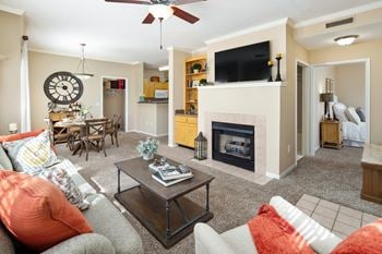 Living area with tv and fireplace